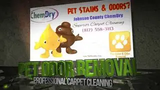 Who is Best Odor Removal in my area  - @carpetcleaner #shorts