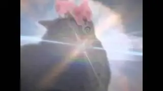 The prophecy is true