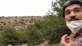 برباقة عين شرشار باتنة