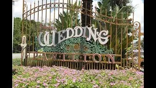 Disney Fairytale Weddings Overview