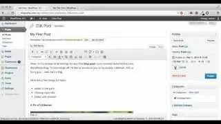 Scheduling posts