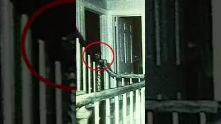 When true crime meets the paranormal things get spooky! 😳👻 #shorts #ghosteas #amityville #ghost