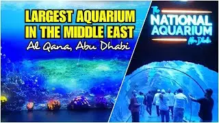 Biggest Aquarium in the Middle East | National Aquarium, Al Qana , Abu Dhabi