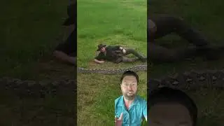Longest Snake In The World