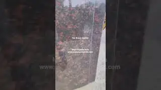 Tan Brown Granite 2cm Cutter Size Slab | Brown Granite | Moon Exports India