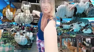 Super Market Dimapur,Nagas Favourite Local Market, Organic Market 🍎🍒🥩🍗