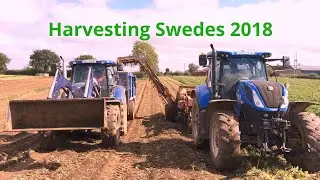 Harvesting Swedes 2018