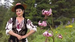Valerica Ianoși Marian - Murgule murguțule