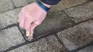 Betoff-Bio: &Ouml;lflecken entfernen. Innovative, schnelle und effektive!