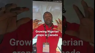 Growing Nigerian crops in Canada. #Nigerianfood #canadaimmigration