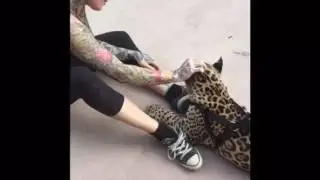 Zoological wildlife foundation