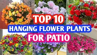 Top 10 Best Hanging Flower Plants for Patio | Patio Flowering Hanging Plants | Plant and Planting