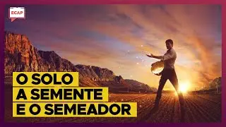 Os quatro tipos de solo | Valores de Cristo Ep. 24