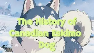 The History of Canadian Eskimo Dog
