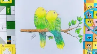 Two Birds sitting on a tree branch drawing for beginners | Colour Drawing | Yashmin's Art Gallery |