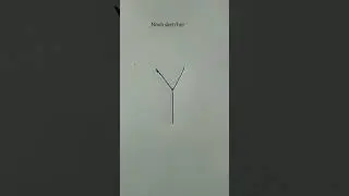 DRAW BUTTERFLY BY Y 😍😍#shorts #drawing