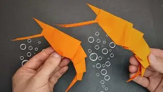 How To Make a Cool Origami SHRIMP Step by Step!