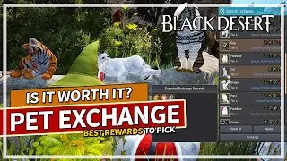 IMPORTANT Pet Exchange Event Guide & Rewards - Is it worth? | Black Desert