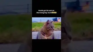 If you laugh, you restart pt 1249 | #memes