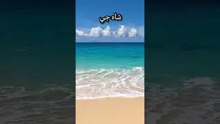 Shahjee #shahjee #shortvideo #shorts #004