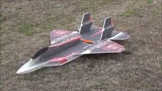 R/C RC-Factory F-22 Raptor (730mm) EPP airplane