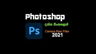 Photoshop Camera Raw Filter