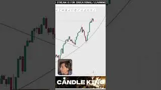 MMC - THE CURVE SUPPLY