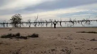 Free Camping NSW - Lake Pamamaroo (Parmaroo), a stunning part of the Menindee Lakes. Dogs allowed.