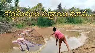 #fishing కొర్ర మీనాలు చేపలు పడ్డాయి మావ.....