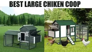 Large Chicken Coop- Large Chicken Coop for Sale / Best Chicken Coops for Sale / Chicken Coop Reviews