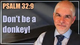 Learn, or pay the price - Psalm 32:9 | 2-minute daily bible meditation