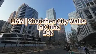 LIAM, Chinese Mega City, Shenzhen 06