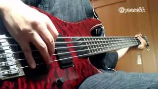 vicarious - tool (bass cover)