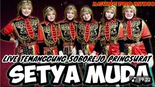BRONDUT NEW SETYA MUDA LIVE TEMANGGUNG SOBOREJO PRINGSURAT
