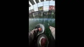 Today&rsquo;s target is to catch 100 fish. Do you think I can make it?