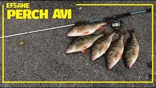 Perch Avı | Sağanak Yağmur Altında Bir Birinden Güzel Perchler Aldık | Balık Avı