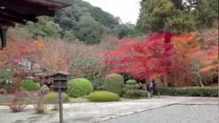 西芳寺 Saiho-ji 苔寺 Koke-dera (japanese temple of moss) kyoto japan