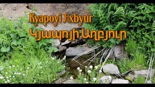 Kyapoyi Axbyur Soxanlu 2023 Vayoc Dzori marz/Կյապոյի Աղբյուր/Armenia/Родник/Shatin/Exegis/Родник