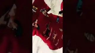 Oscar खुश हो गया नयी जैकिट मिल गयी part -1 #puglife #petanimals #oscarcutest #shorts