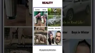 Riyality motivate #music #reality #memes #funny #remix #motivation #motivationspeech #motivational