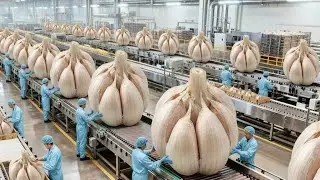 Inside a High-Tech Million-Pound Garlic Operation Factory: Extreme Powder Dehydration (Full Process)