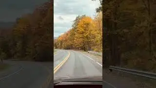 FALL 2023. Connecticut