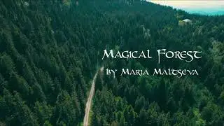 Magical Forest - Maria Maltseva | Debut Album 