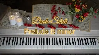 J.S. Bach (Siloti) -  Prelude b-minor - Viktoria Vonders piano