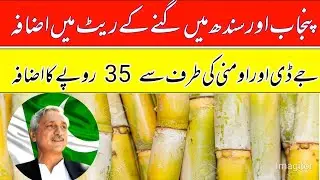 shugarcane rates increase in pakistan/Shugarmil meetings information today 2024/local farmers