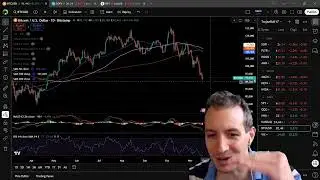 I BOUGHT THE DIP! SOFI PLTR HOOD AMD