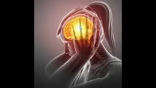 The Female Psychopath Predatory Stare and Energy-How To Not Digest Toxicity Energetically
