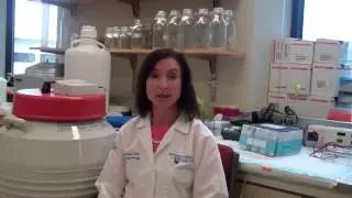 Penn State Hershey Dermatology - Residency Physician Scientist Track
