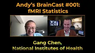 Effect Magnitude, P-Values, and Statistical Power | Gang Chen (Andy's BrainCast #001)