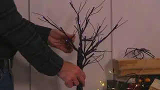 LED Tabletop Tree (8LED539) from Evergreen